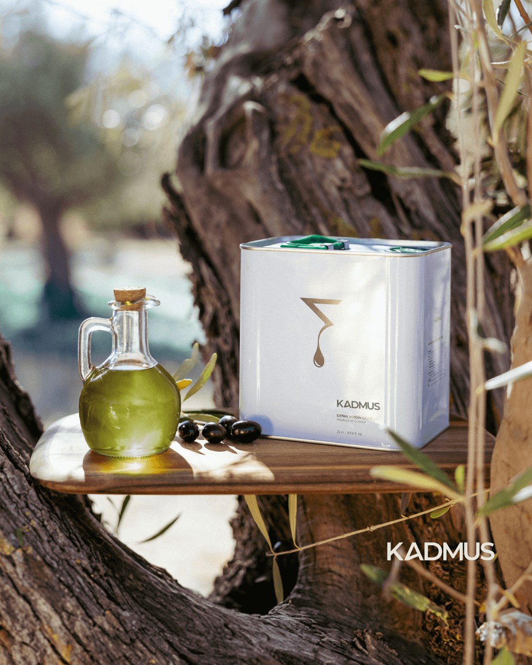 Kadmus-post-75_rev01